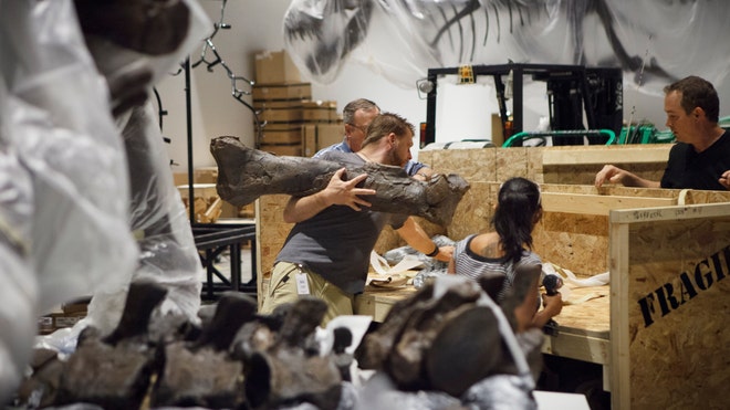 Houston Dinosaur Museum AP 3.jpg